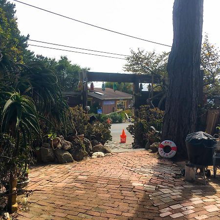 Stinson Beach Redwoods Haus Bed & Breakfast Dış mekan fotoğraf