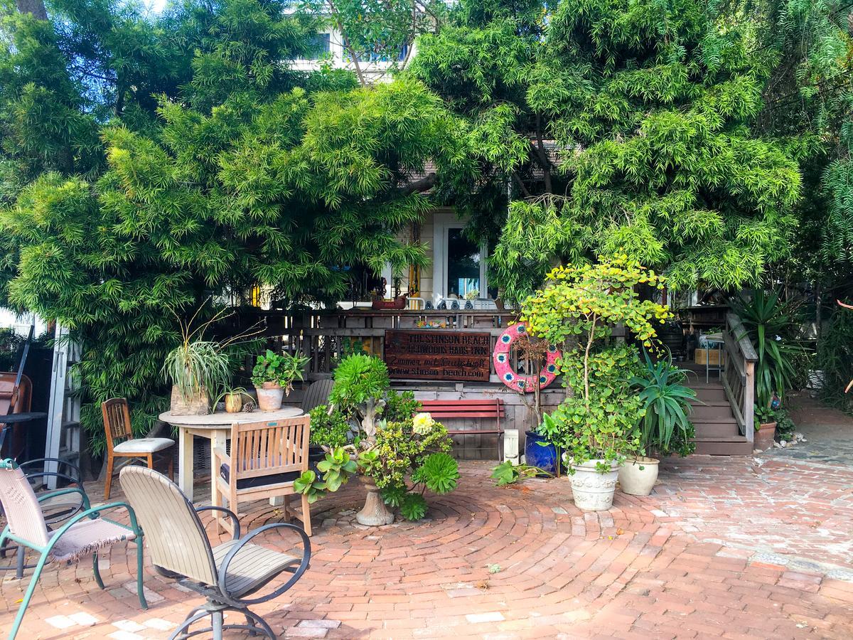 Stinson Beach Redwoods Haus Bed & Breakfast Dış mekan fotoğraf